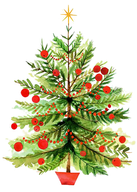 Transparent Christmas Tree Christmas Tree Fir Pine Family for Christmas