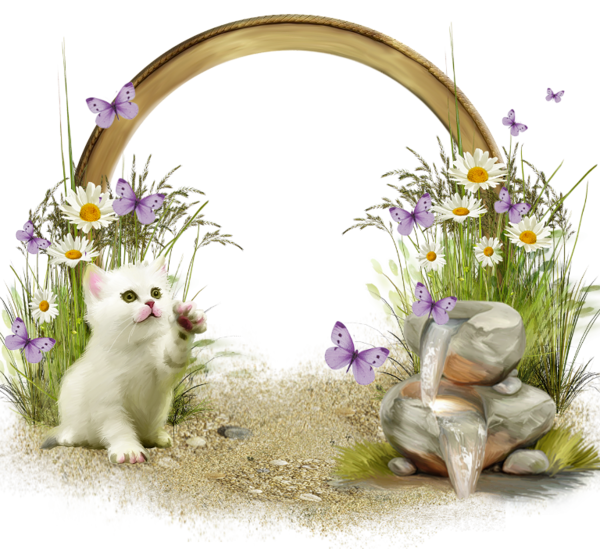Transparent Picture Frames Kitten Thepix Plant Flower for Easter