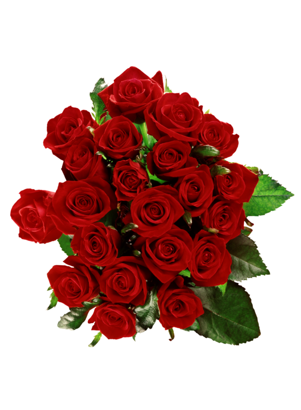 Transparent Flower Bouquet Rose Flower Petal Plant for Valentines Day