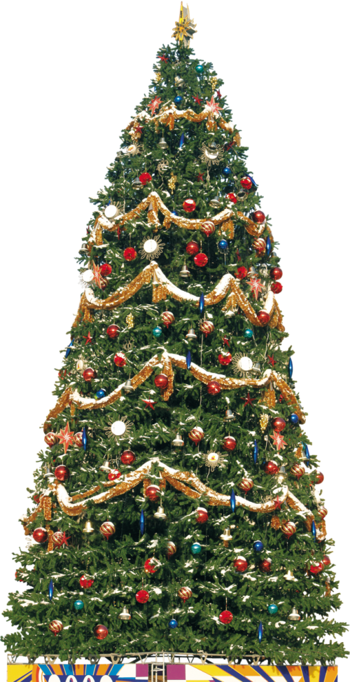 Transparent Christmas Tree New Year Tree Spruce Fir Pine Family for Christmas