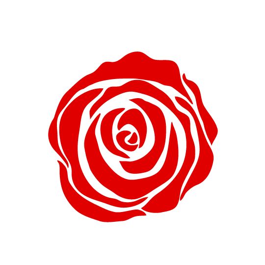 Transparent Garden Roses Flower Petal Red for Valentines Day