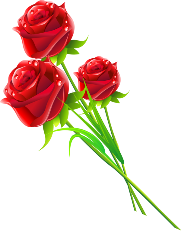 Transparent Rose Flower Love Petal Plant for Valentines Day
