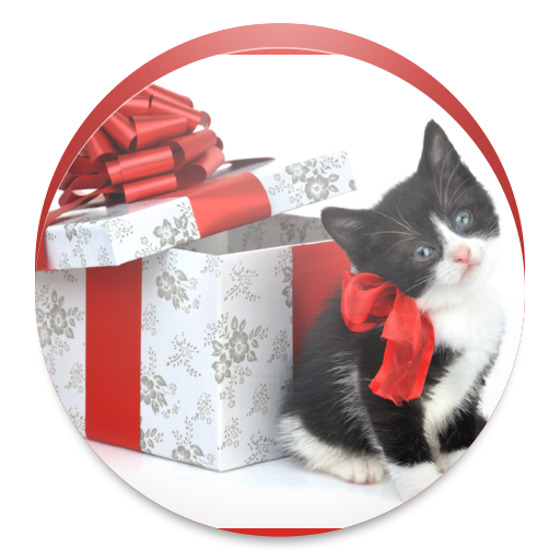 Transparent Santa Claus Christmas Christmas Gift Cat Christmas Ornament for Christmas