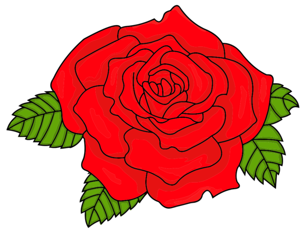 Transparent Rose Drawing Flower Garden Roses Petal for Valentines Day