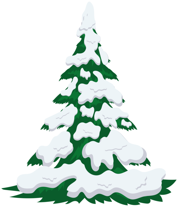 Transparent Tree Snow Christmas Tree Fir Pine Family for Christmas