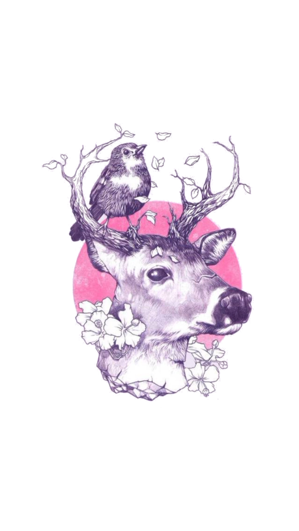 Transparent Deer Tattoo Drawing Pink Visual Arts for Christmas