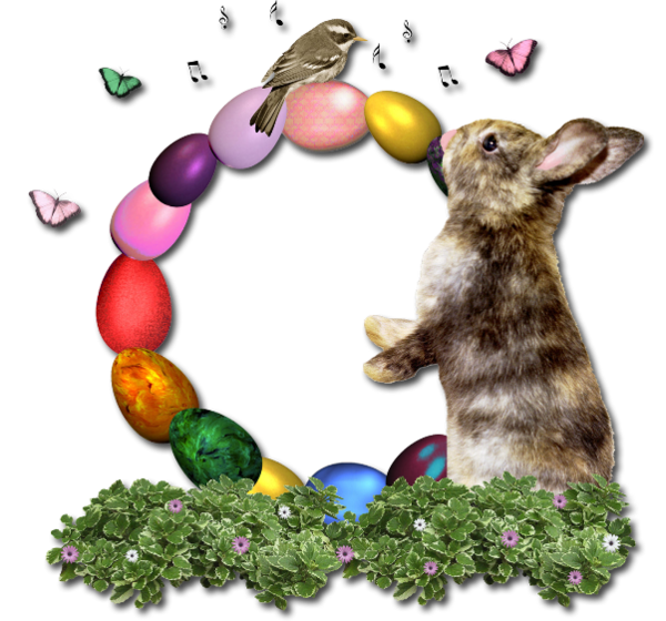Transparent Hare Easter Bunny Rabbit Easter for Easter