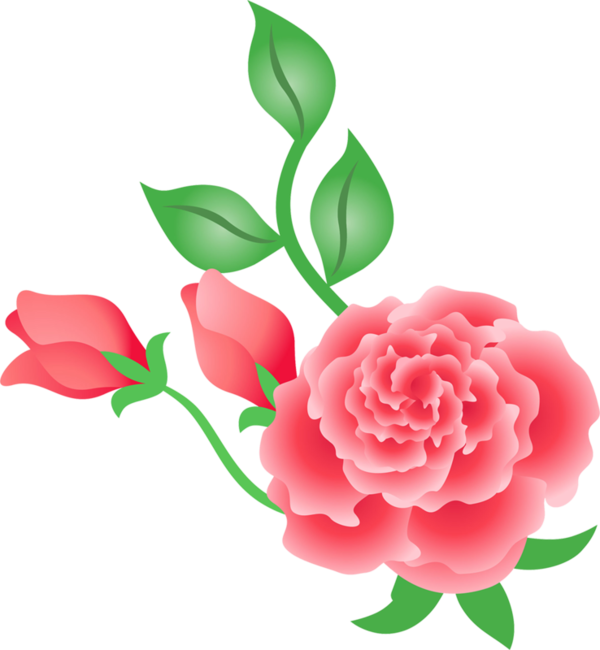 Transparent Garden Roses Flower Garden Pink for Mothers Day