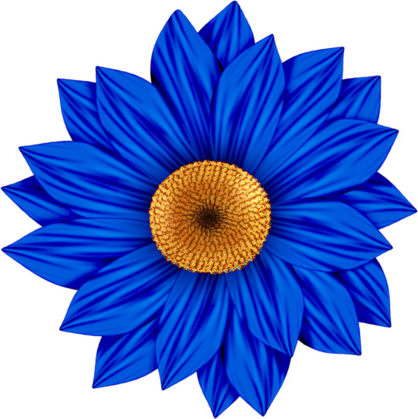 Transparent Flower Common Sunflower Common Daisy Blue Electric Blue for Valentines Day