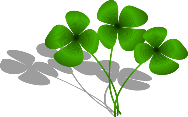 Transparent Clover Fourleaf Clover Shamrock Plant Leaf for St Patricks Day