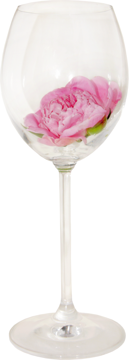 Transparent Pink Lady Martini Cocktail Glass Pink Champagne Stemware for Valentines Day