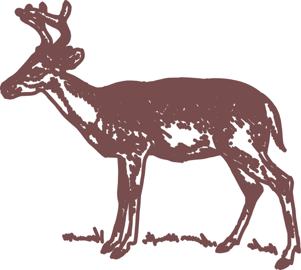 Transparent Deer Whitetailed Deer Drawing Elk Wildlife for Christmas