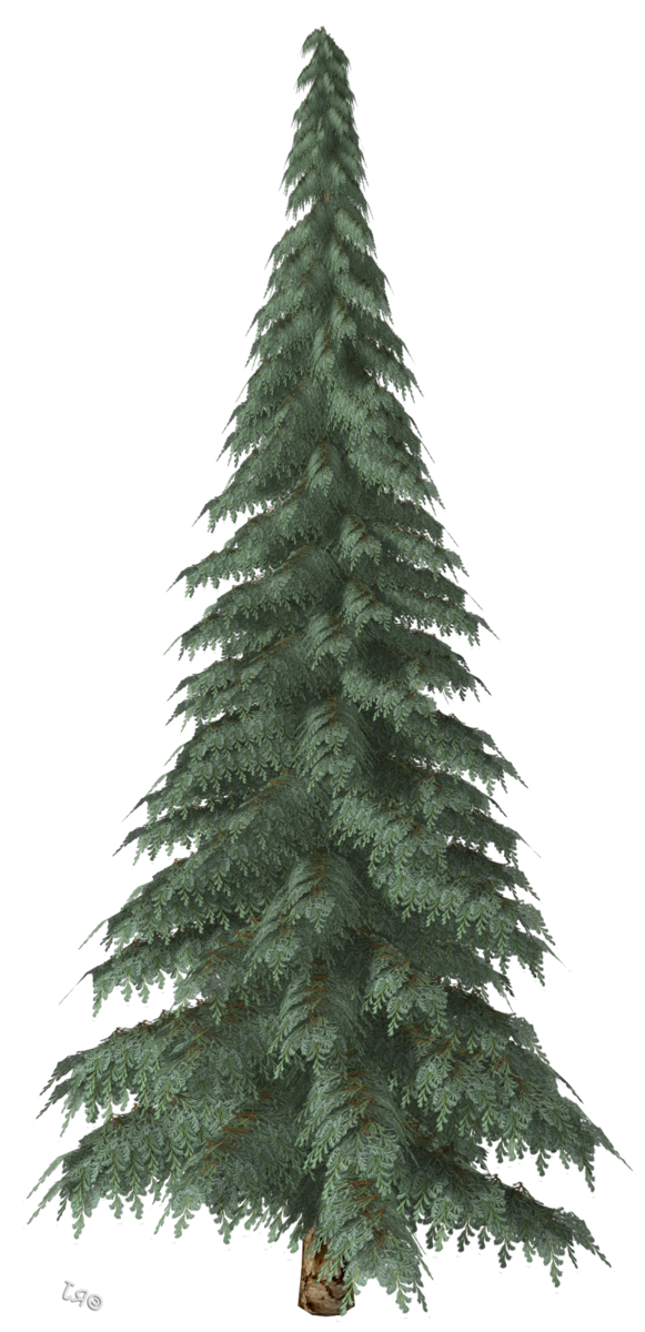 Transparent Spruce Pine Christmas Ornament Tree for Christmas