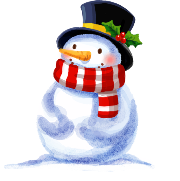 Transparent Snowman Animation Snow Flightless Bird for Christmas