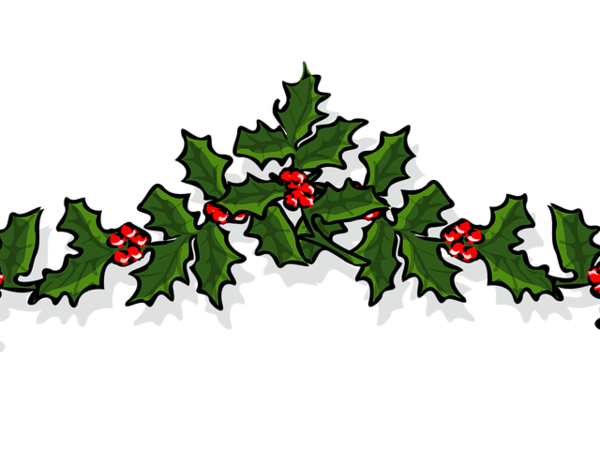 Transparent Christmas Day Common Holly Christmas Decoration Holly American Holly for Christmas