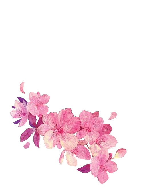 Transparent Flower Watercolor Painting Cut Flowers Pink for Valentines Day