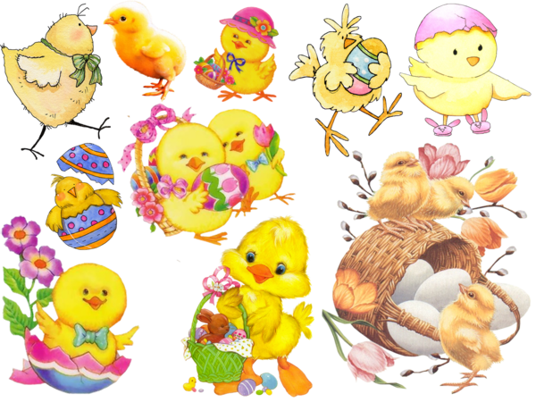 Transparent Easter Chicken Ve Toy Food for Easter