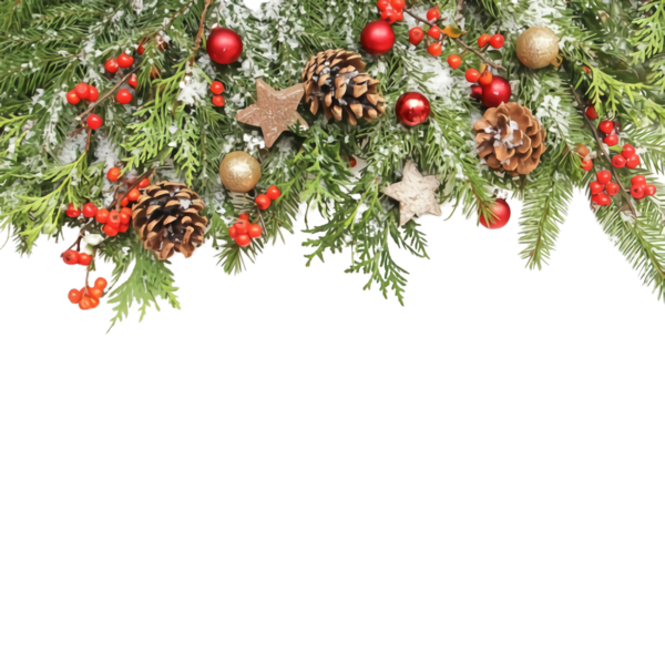 Transparent Christmas Decoration Tree Branch for Christmas