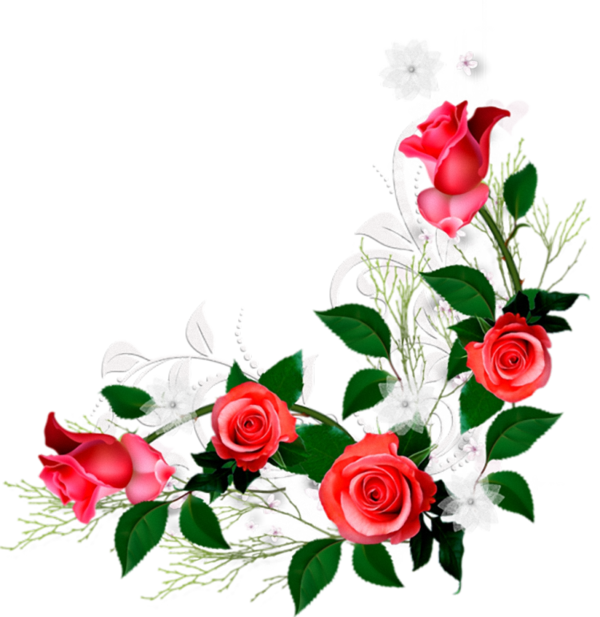 Transparent Flower Rose Flower Bouquet Petal Plant for Valentines Day