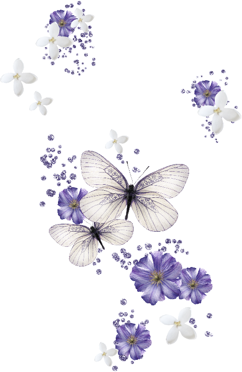 Transparent Butterfly Color Purple Flower for Valentines Day
