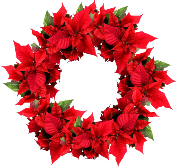 Transparent Wreath Christmas Christmas Card Christmas Decoration Flower for Christmas