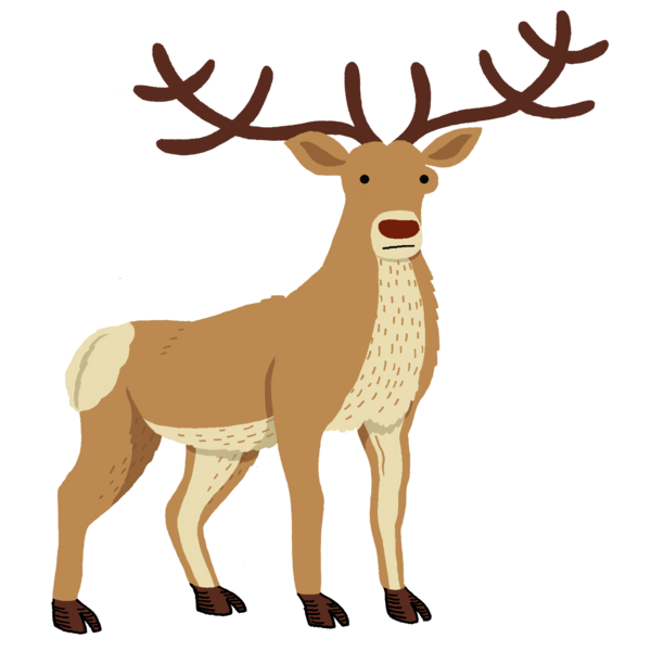 Transparent Reindeer Deer Red Deer Elk Wildlife for Christmas