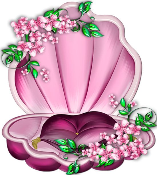 Transparent Mollusc Shell Drawing Color Flower Pink for Valentines Day