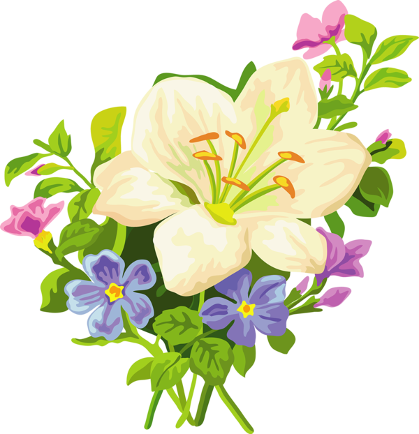 Transparent Lilium Bulbiferum Easter Lily Lilium Candidum Plant Flower for Easter