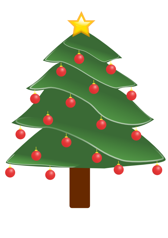 Transparent Evergreen Pine Christmas Tree Fir Pine Family for Christmas