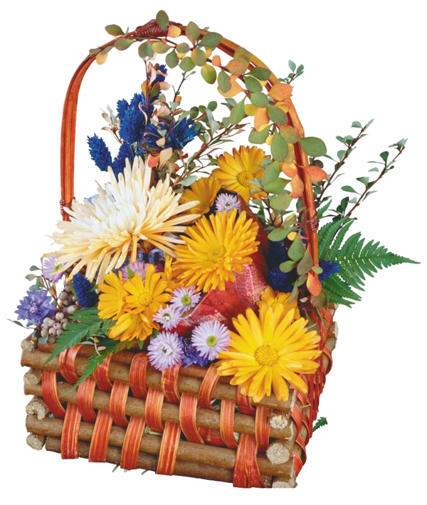 Transparent Flower Basket Chrysanthemum Plant for Easter