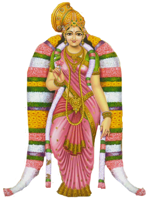 Transparent Lakshmi Ranganathaswamy Temple Srirangam Thiruppavai Costume Costume Design for Janmashtami