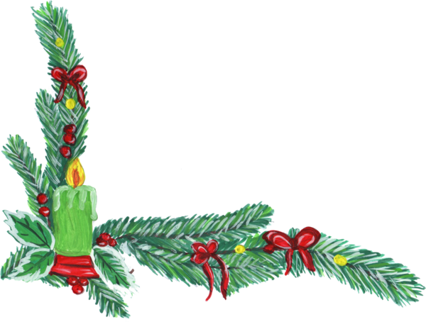 Transparent Christmas Christmas Decoration Christmas Tree Fir Pine Family for Christmas
