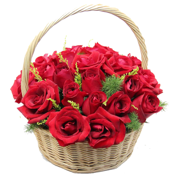 Transparent Beach Rose Flower Gratis Petal Flowerpot for Valentines Day