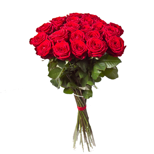 Transparent Flower Bouquet Flower Interflora Petal Flowerpot for Valentines Day
