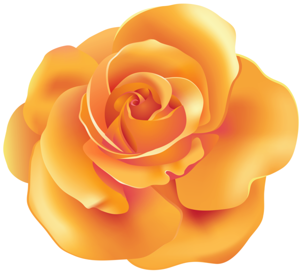 Transparent Rose Yellow Peach Flower for Valentines Day