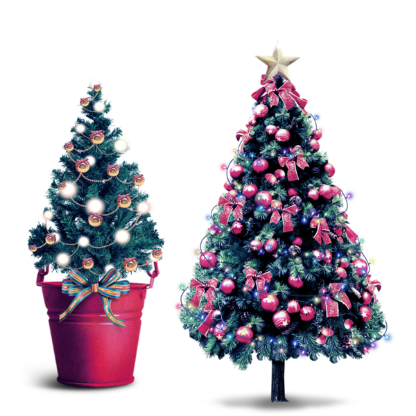 Transparent Christmas Christmas Tree Christmas Decoration Fir Pine Family for Christmas