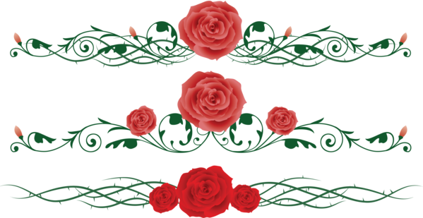 Transparent Rose Vine Flower Heart Garden Roses for Valentines Day