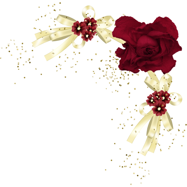 Transparent Flower Red Rose Flora for Valentines Day