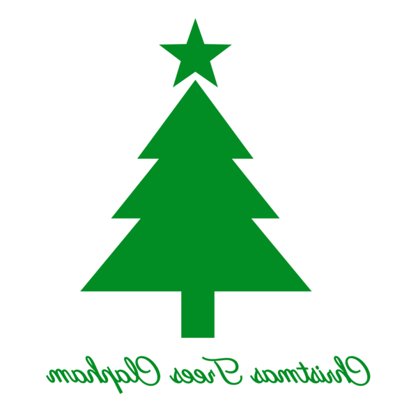 Transparent Christmas Tree Spruce Fir Green for Christmas