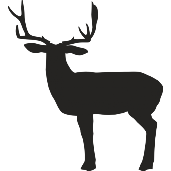 Transparent Deer Reindeer Whitetailed Deer Elk Wildlife for Christmas
