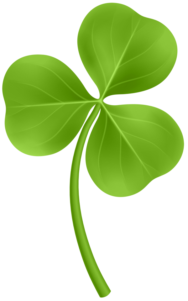Transparent Ireland Shamrock Saint Patrick S Day Plant Leaf for St Patricks Day