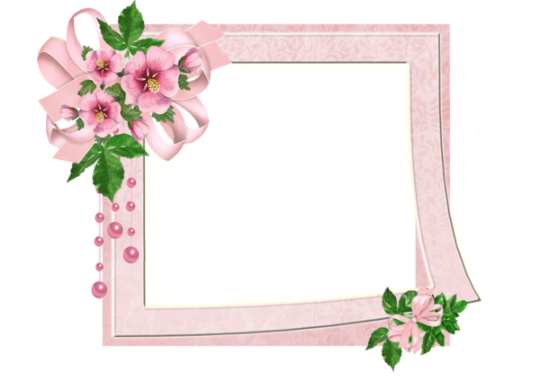 Transparent Picture Frames Flower Pink Flowers Pink Picture Frame for Valentines Day