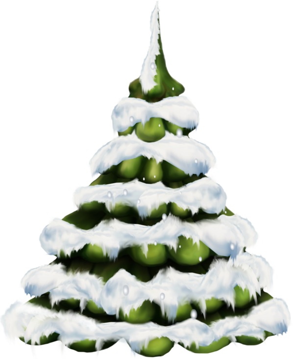 Transparent Tree Christmas New Year Tree Fir Pine Family for Christmas
