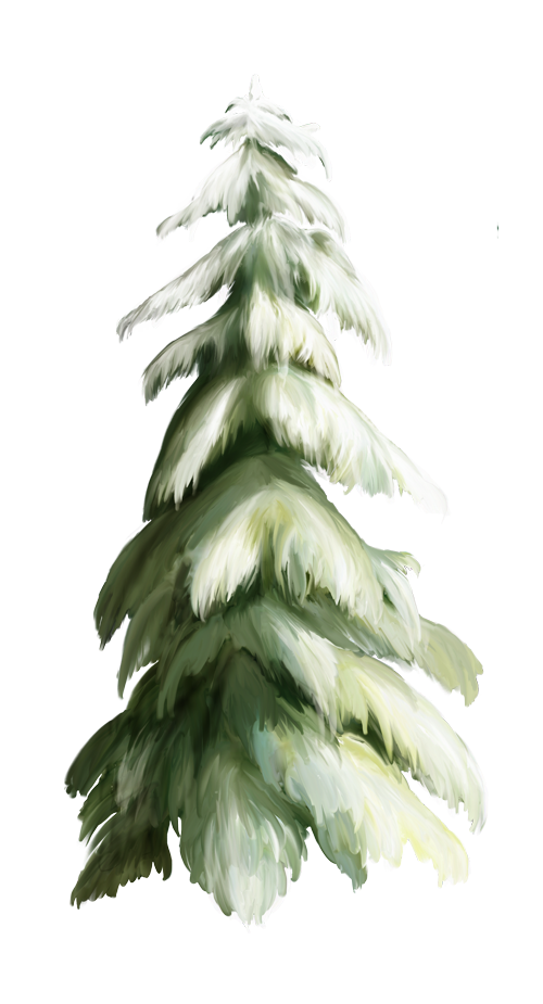 Transparent Spruce Christmas Christmas Tree Tree Pine Family for Christmas