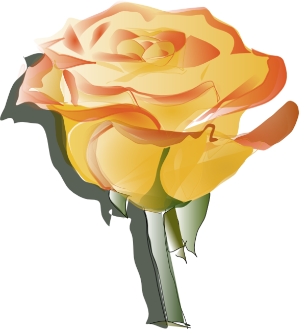 Transparent Rose Drawing Yellow Petal Flowerpot for Valentines Day