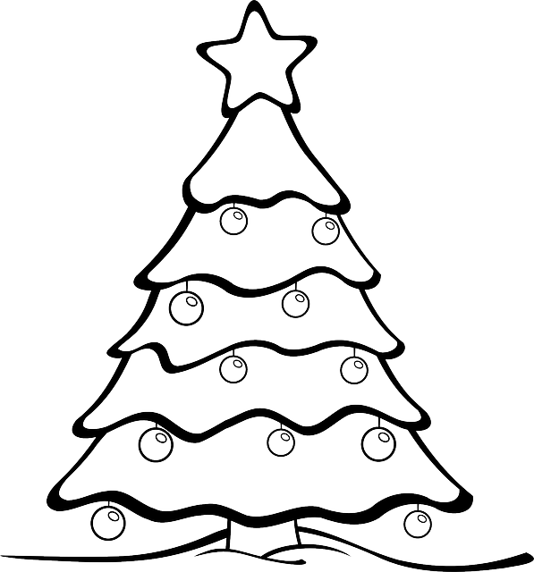 Transparent Christmas Tree Drawing Christmas Fir Line Art for Christmas
