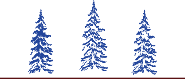 Transparent Christmas Tree Christmas Tree Snow Fir Blue Pine Family for Christmas