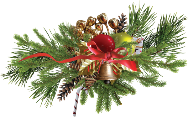 Transparent Christmas Santa Claus Christmas Tree Fir Pine Family for Christmas
