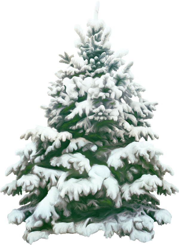 Transparent Christmas Picture Frames Christmas Tree Fir Pine Family for Christmas