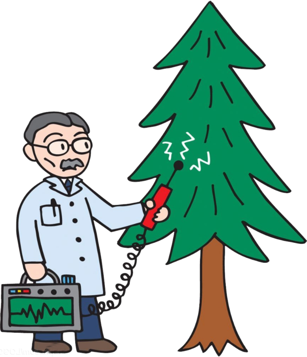Transparent Christmas Tree Cartoon Tree Fir Pine Family for Christmas